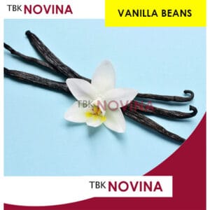 Vanilla Bean / Vanila Batang / Vanili Kering Grade A / Vanilla Kita