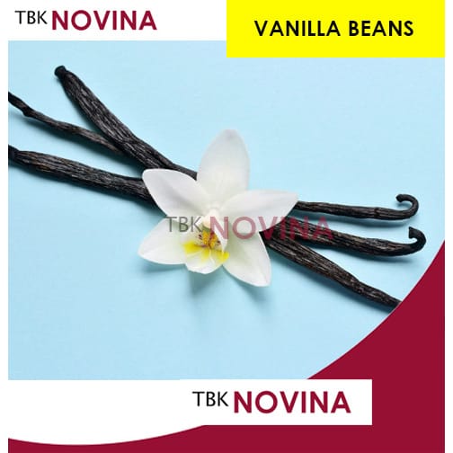 Vanilla Bean / Vanila Batang / Vanili Kering Grade A / Vanilla Kita