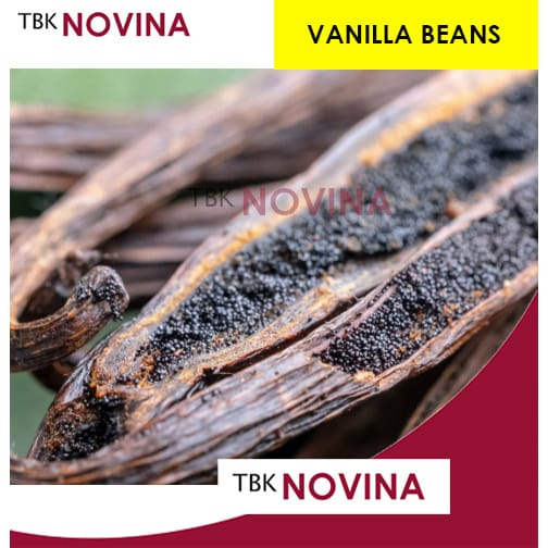 Vanilla Bean / Vanila Batang / Vanili Kering Grade A / Vanilla Kita - Image 2
